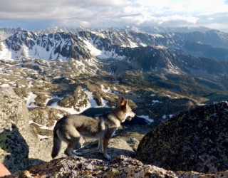 Pic de Pessons i Alt del Griu enllaçats