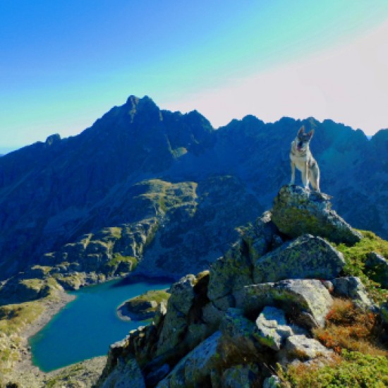 Sortida de Senderisme al Pic Negre de Joclar