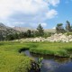 Sortida de Senderisme Cresta del Pic Negre cap a Setut, Vall del Madriu-Perafita-Claror