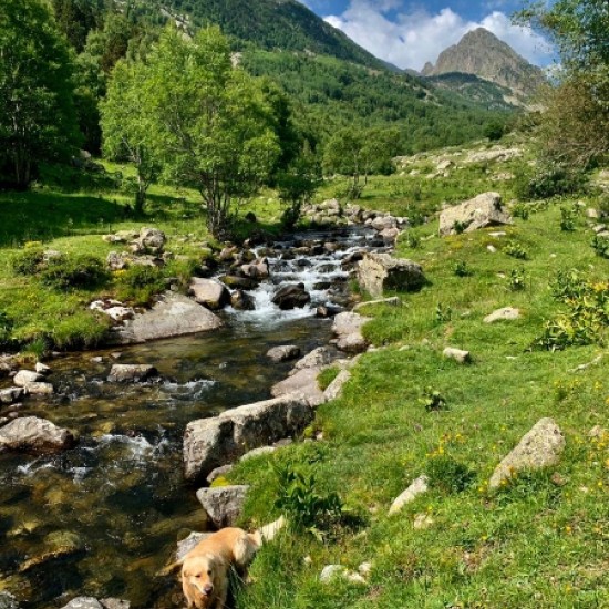 Sortida de Senderisme a la Vall de Campcardós des de Porta (Pyrénées Orientales)